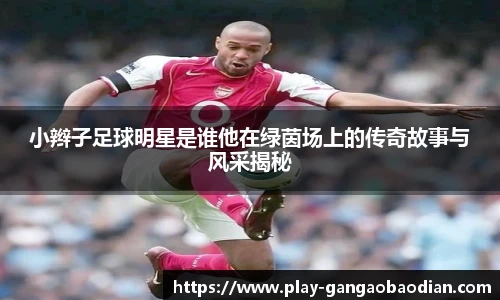 小辫子足球明星是谁他在绿茵场上的传奇故事与风采揭秘